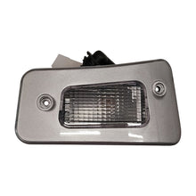 Fanalino Sinistro  Visiera - Iveco - Eurotrakker - OE 98443252