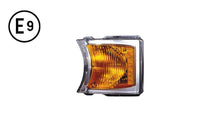 Fanalino Laterale Destro Sinistro Led - Scania - Serie R - OE 1747981 - 2442689 - Carrozzeria Truck