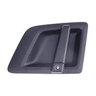 MANIGLIA PORTA ESTERNA lato SX 2642201 - Carrozzeria Truck