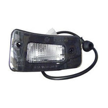 FANALINO VISIERA per IVECO EUROSTAR lato DX 500314717