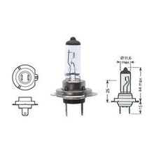 LAMPADINA 024.H7105