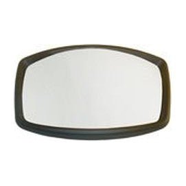 VETRO SPECCHIO FRONTALE MAN TGS - 81637330116 - Carrozzeria Truck